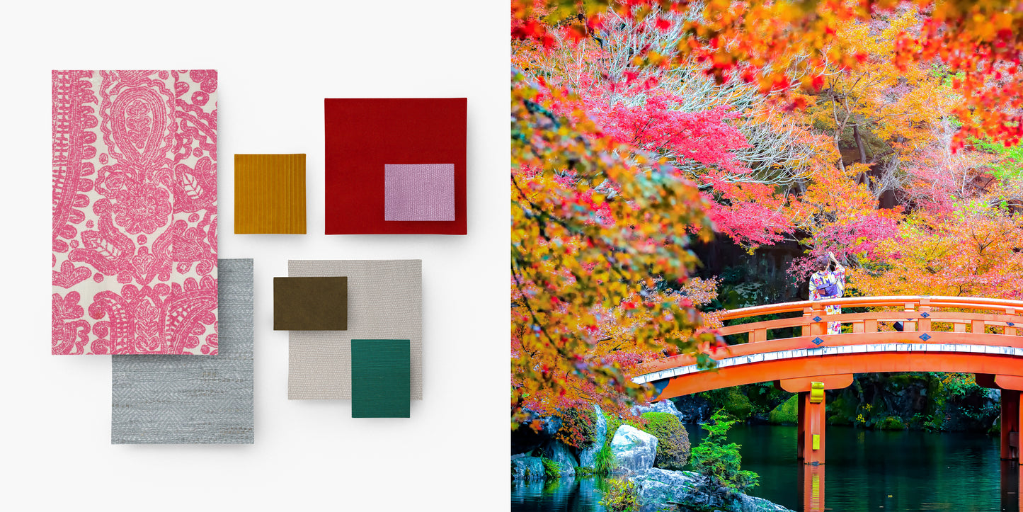 Kyoto Blossoms