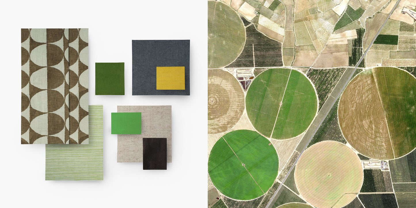 Picasso Fields